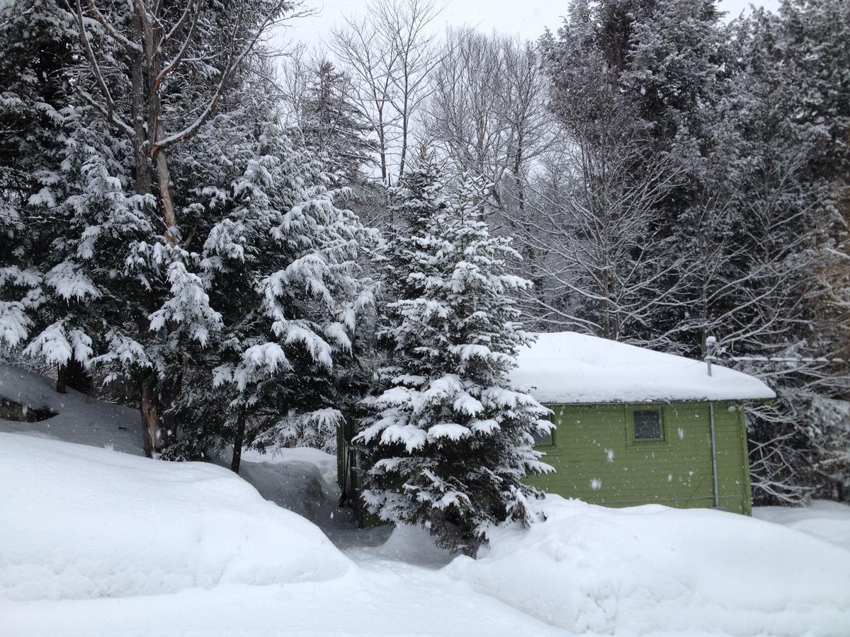 The Woods Lodge Northfield Eksteriør bilde