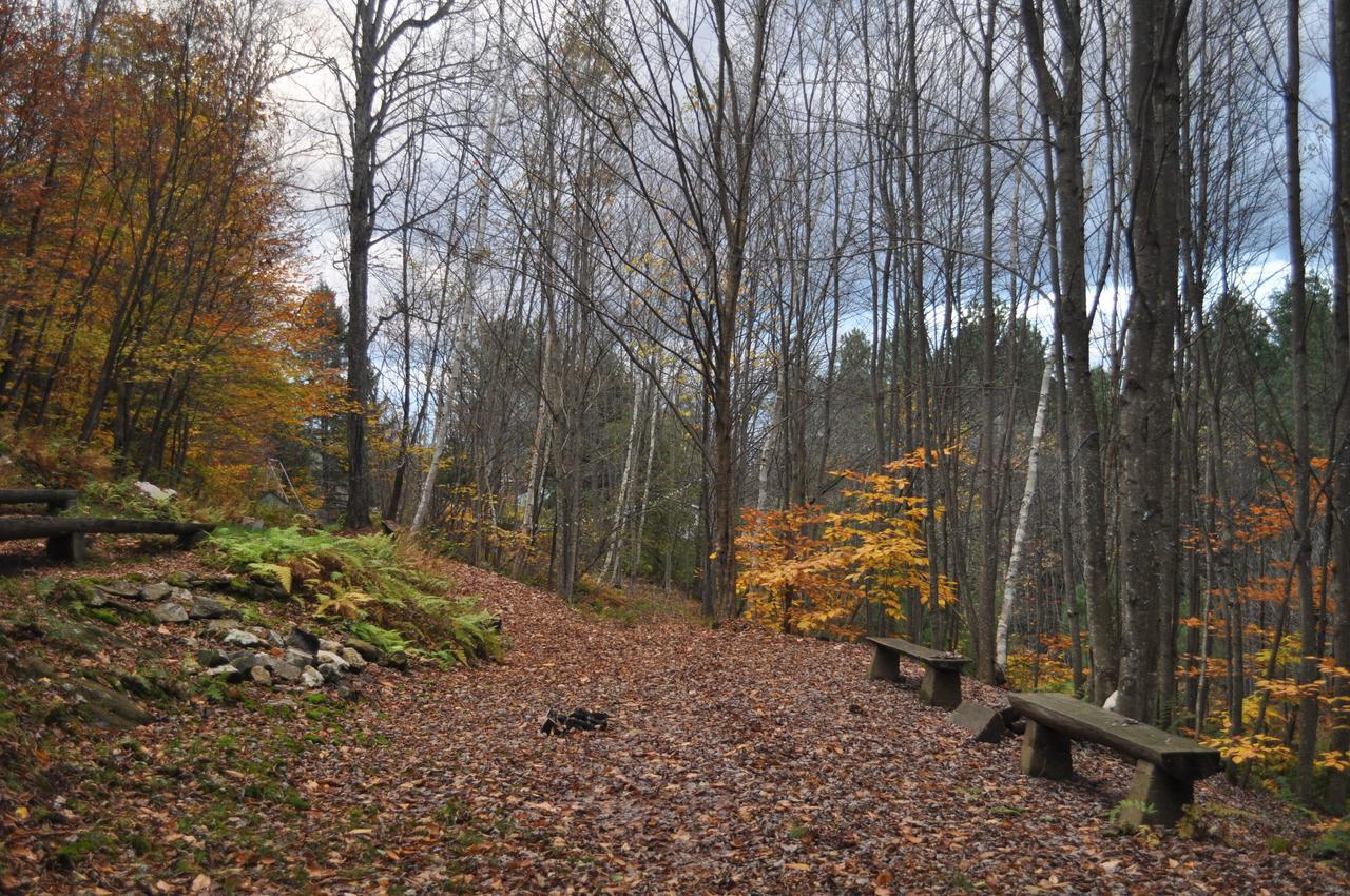 The Woods Lodge Northfield Eksteriør bilde